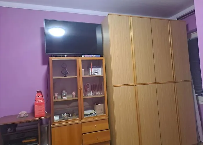 Affitacamera Matrimoniale Patriciu Penzion Janov